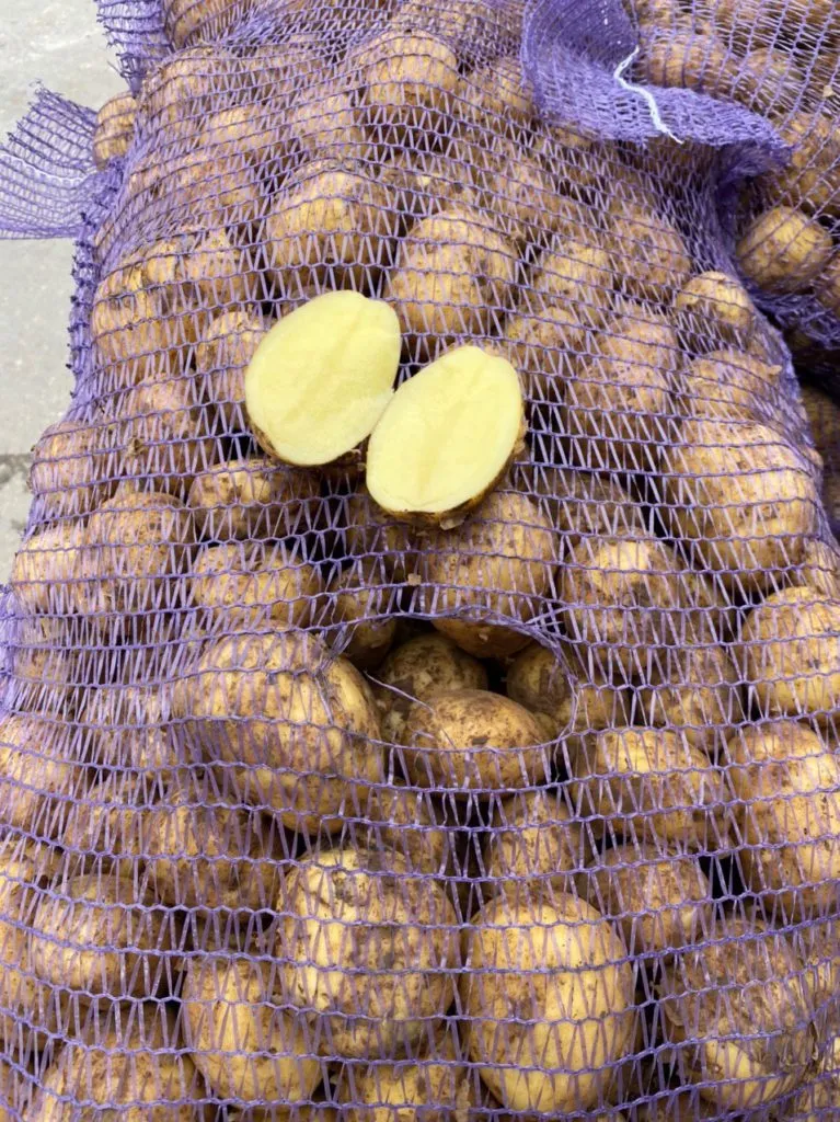 картофель оптом  в Йошкаре-Оле
